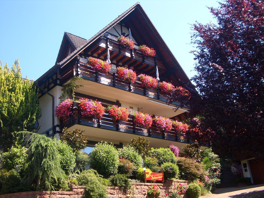 Landhaus Schneider Sasbachwalden Kültér fotó